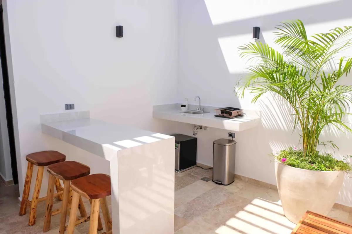 Stayon5A.Av.Penthouse With Privatepool Freeparking 普拉亚卡门 外观 照片