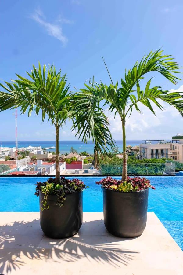 Stayon5A.Av.Penthouse With Privatepool Freeparking 普拉亚卡门 外观 照片